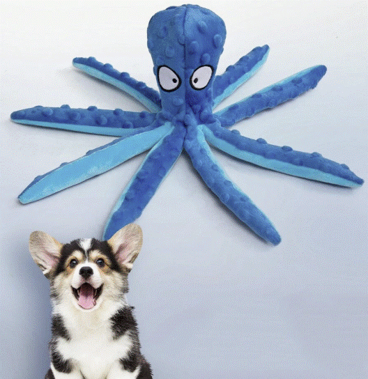 9. PETS