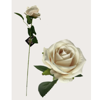 Cream Diamond Single Stem Velvet Rose (50m)
