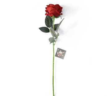 Bright Red Single Stem Velvet Rose (51cm)