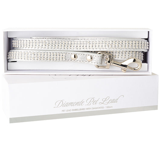 Luxury Pet Lead (120cm)-Silver